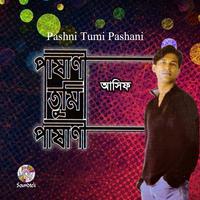 Pashani Tumi Pashani