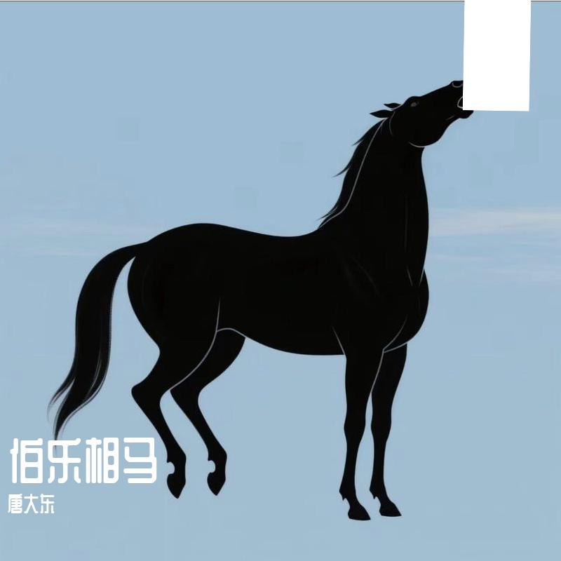 伯乐相马封面