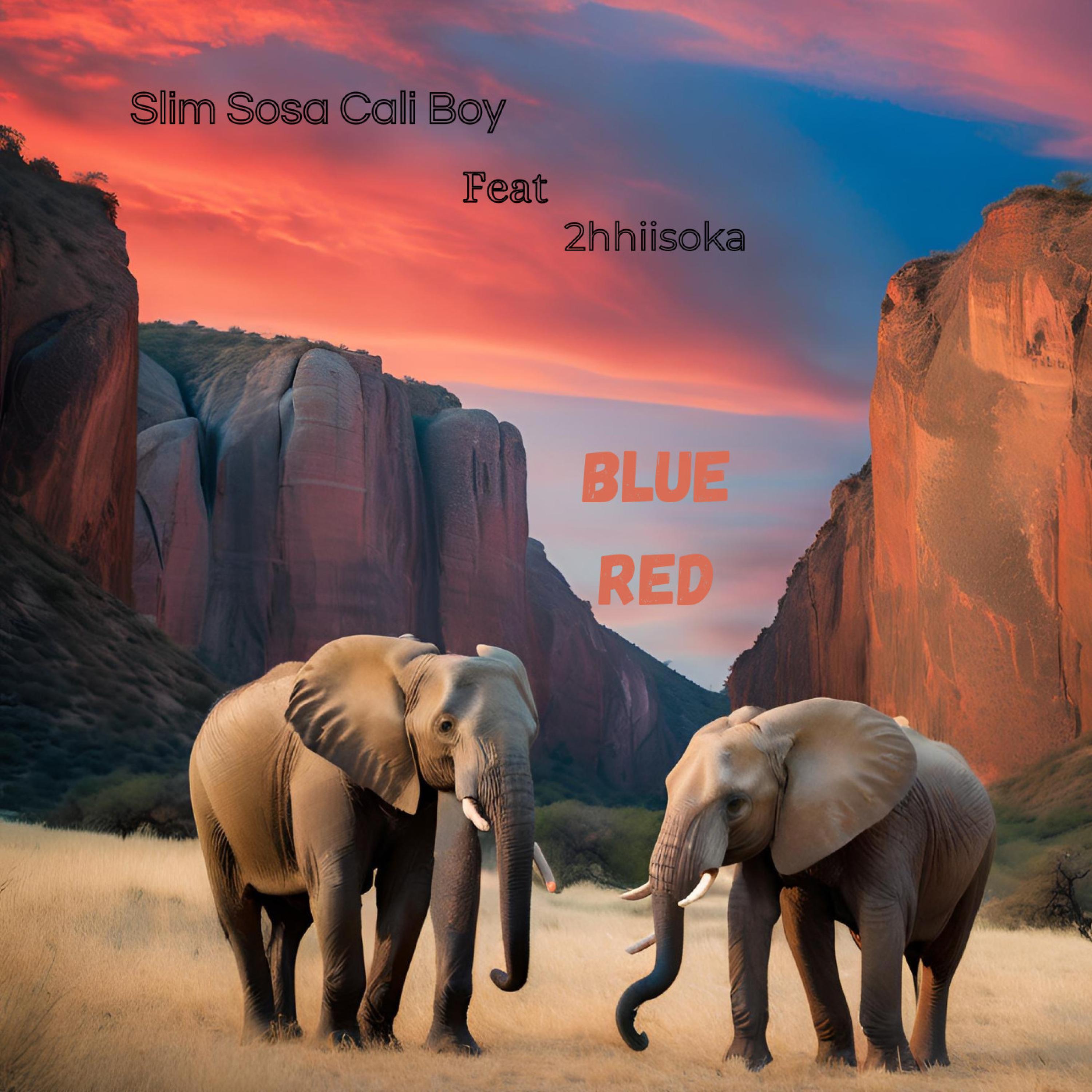 Blue Red (feat. 2hhisoka)