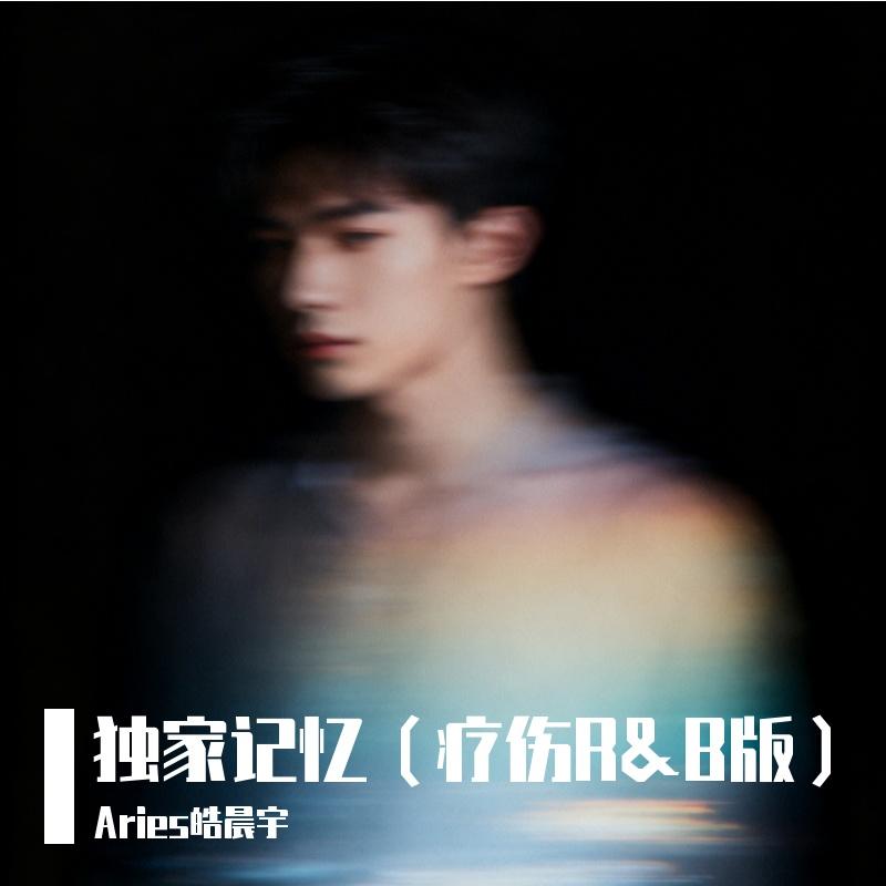 独家记忆(R&B疗伤版) - Aries皓晨宇封面
