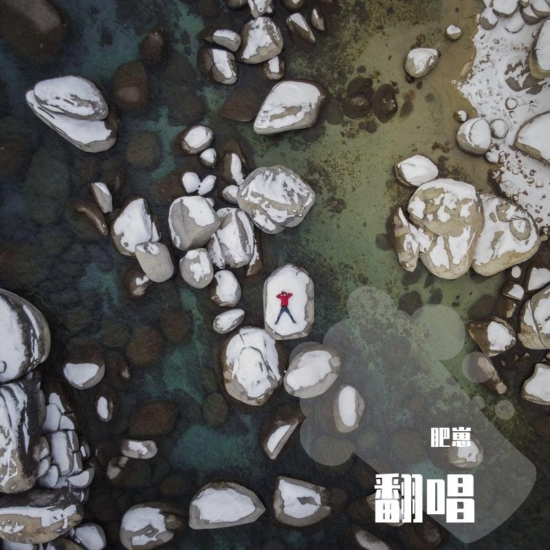 遥远的她（吉他版）（翻自 群星） - 肥崽封面