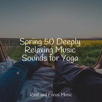 Spring 50 Deeply Relaxing Music Sounds for Yoga