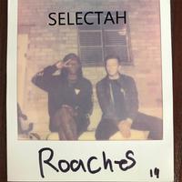 SELECTAH