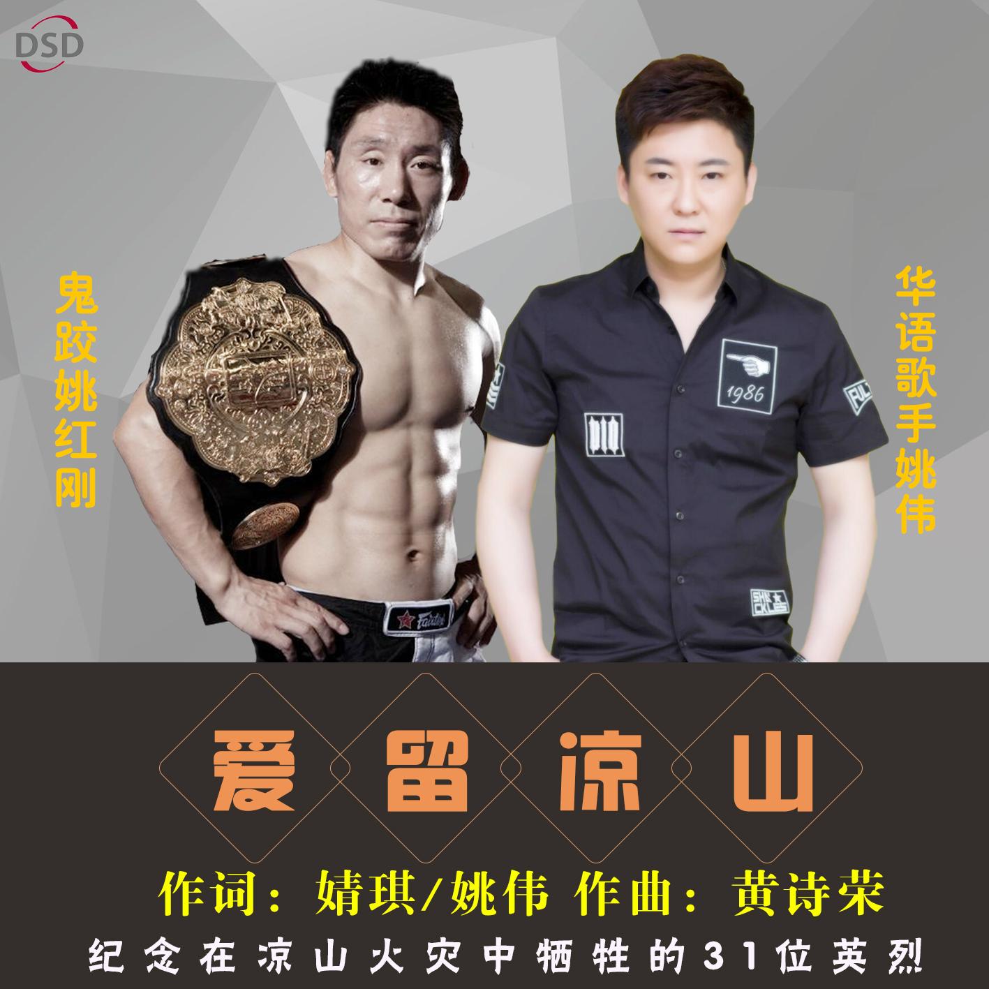 爱留凉山封面