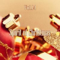 Spirit of Christmas - Vol. 14