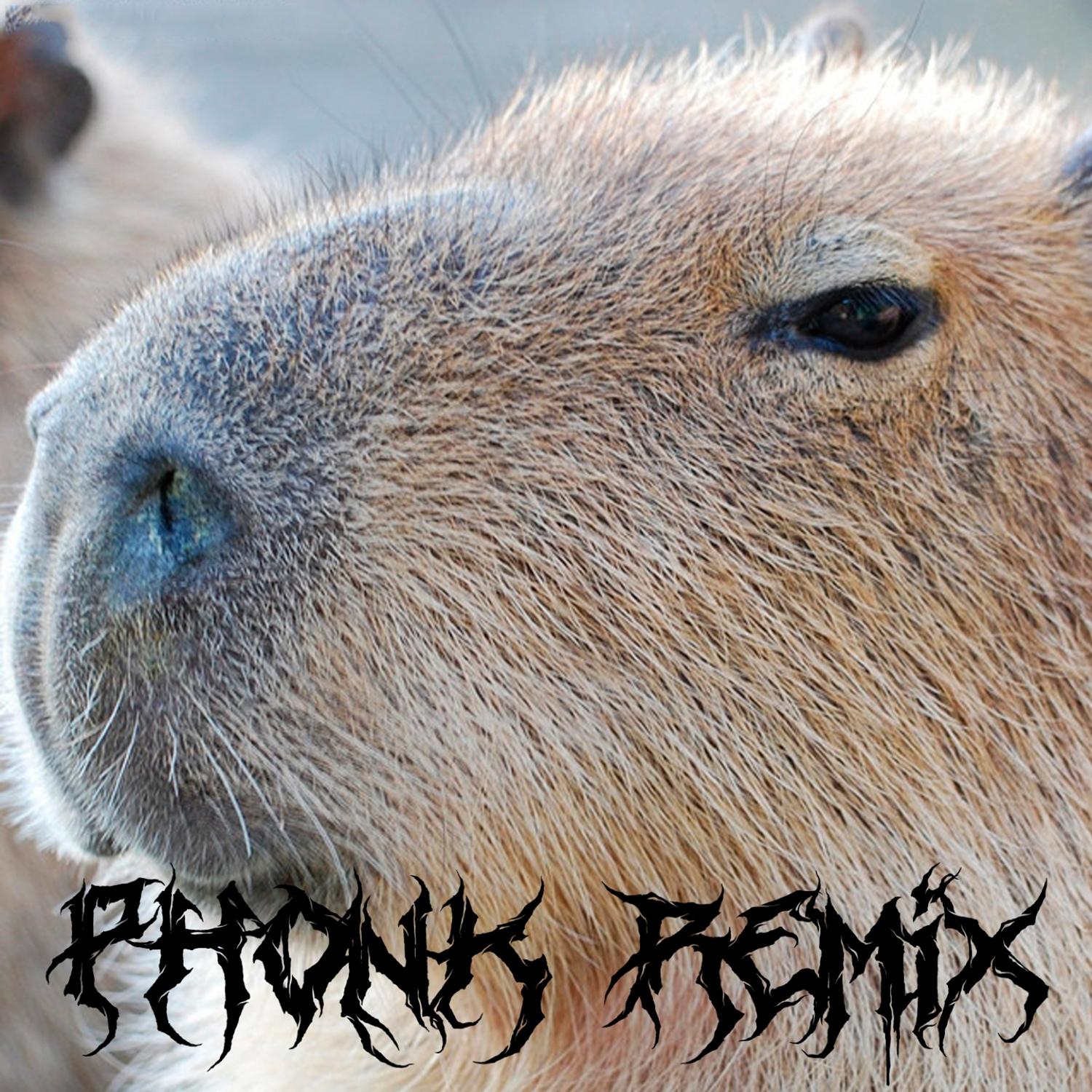 Capybara (Phonk Remix)