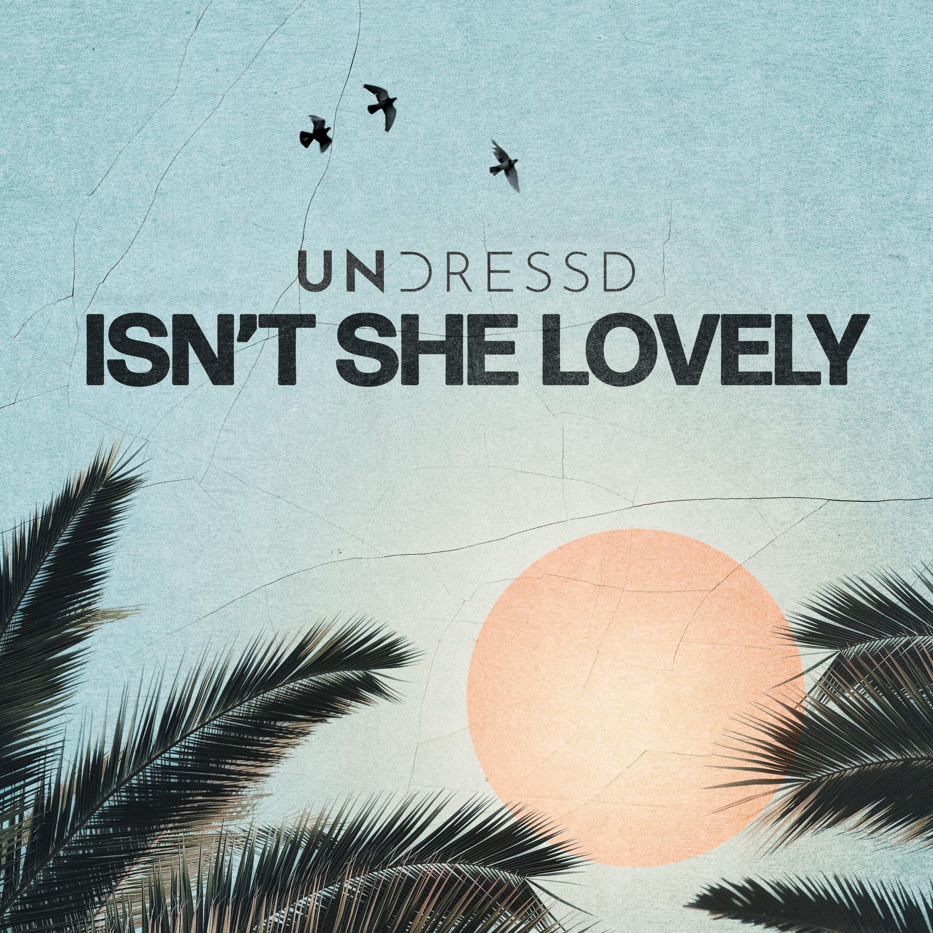 Isn't She Lovely_UNDRESSD_Isn't She Lovely | 在线播放_Isn't She Lovely歌词_Isn't She Lovely下载 | 网易云音乐