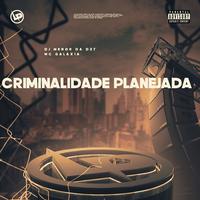 Criminalidade Planejada