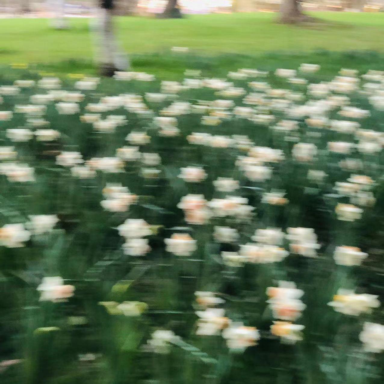 小星星封面