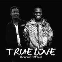 True Love (feat. Mr Seed)