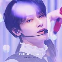 Fallin' Flower[中文填词 by 富贵]（翻自 SEVENTEEN）