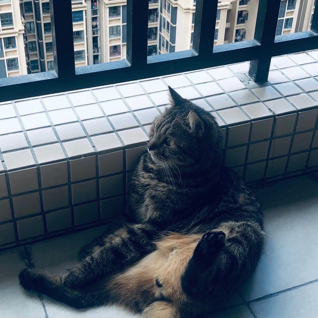 阴天快乐封面