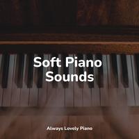 Piano Bar - Treetop Silhouttes