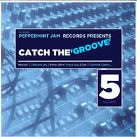 Peppermint Jam Records Pres. Catch the Groove, Vol. 5