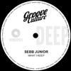 Sebb Junior - What I Keep (Extended Mix)