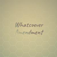 Whatsoever Amendment