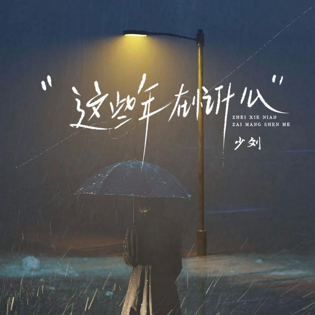 这些年在忙什么(男声版)封面