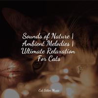 Sounds of Nature | Ambient Melodies | Ultimate Relaxation For Cats