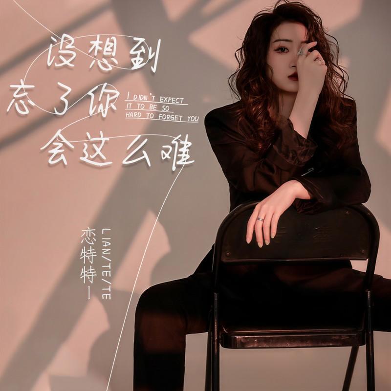 没想到忘了你会这么难封面