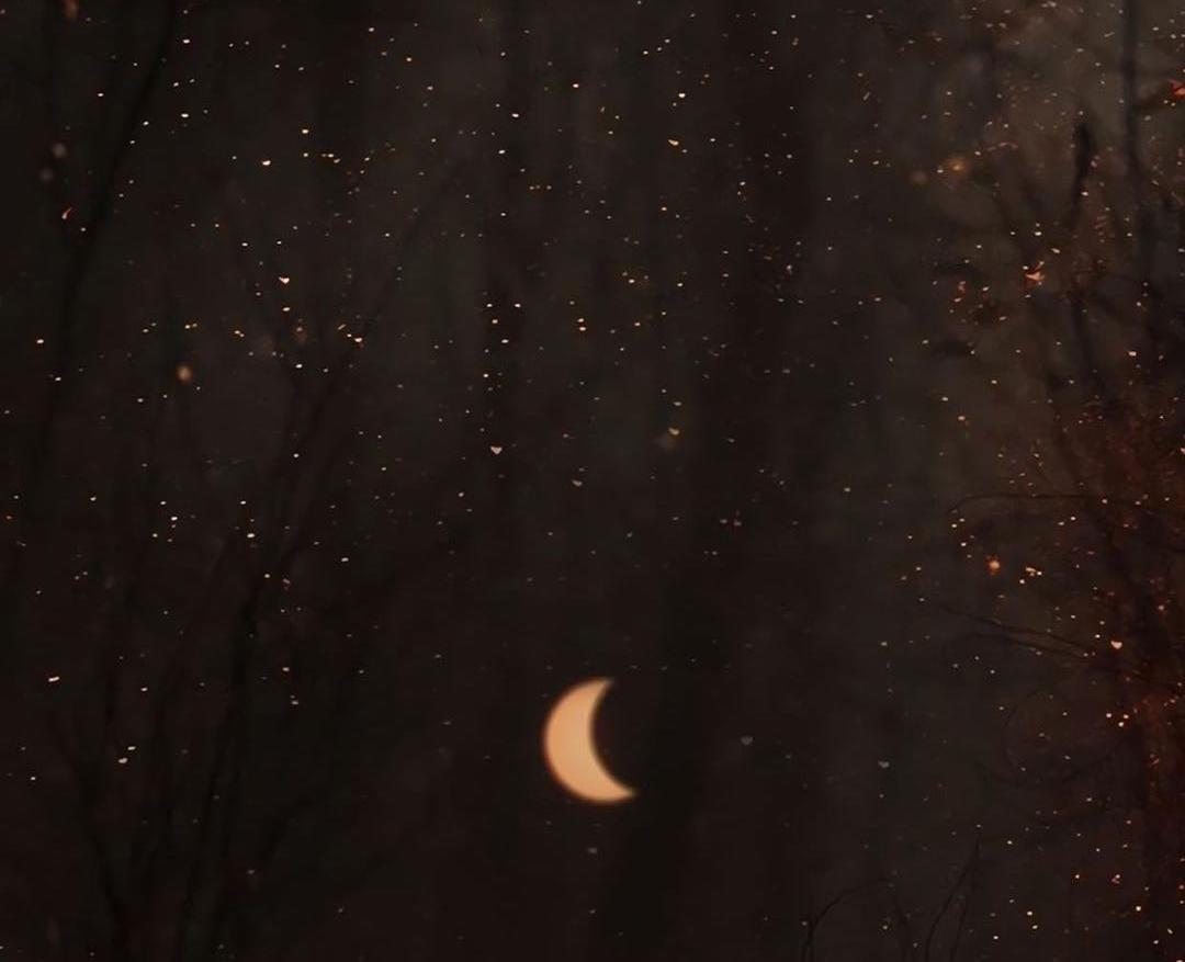 王巨星