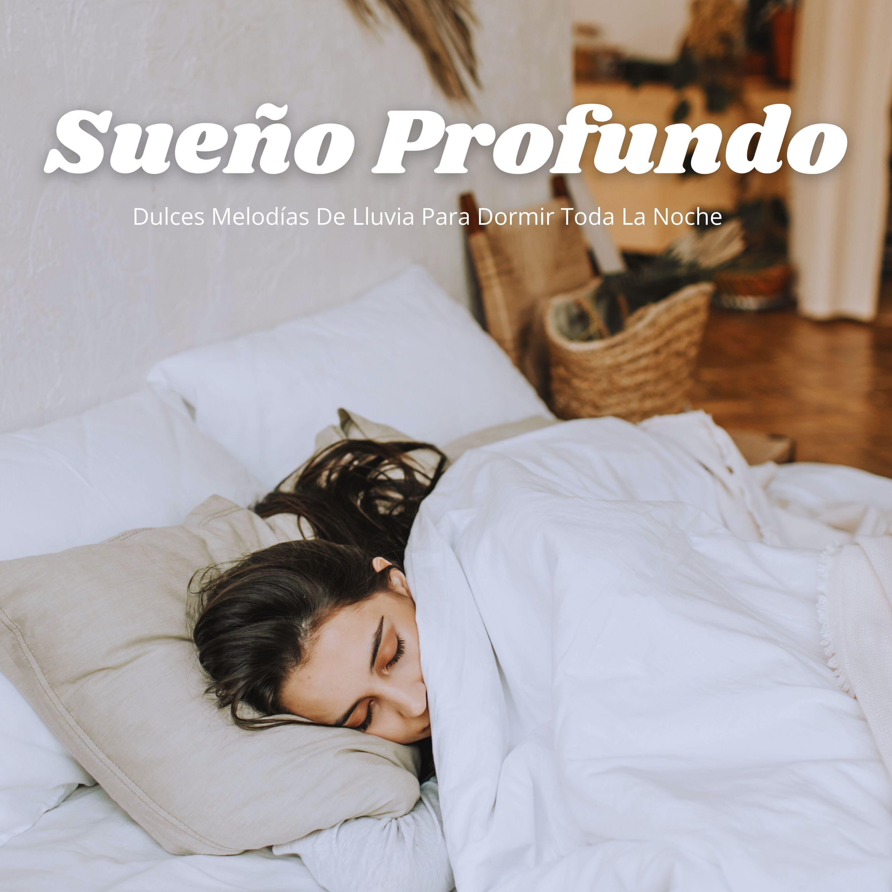 Clima Gris_Sonidos de lluvia para conciliar el sueño_Sueño Profundo: Dulces Melodías De Lluvia Para Dormir Toda La Noche | 在线播放_Clima Gris歌词_Clima Gris下载 | 网易云音乐