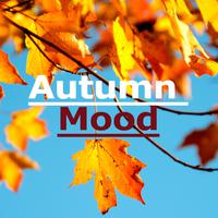 Autumn Mood