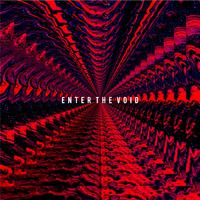 Enter The Void