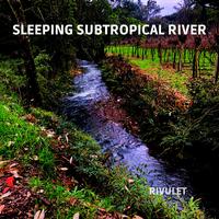 Sleeping Subtropical River