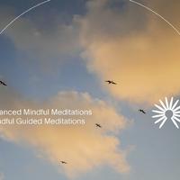 Balanced Mindful Meditations