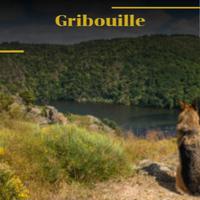 Gribouille