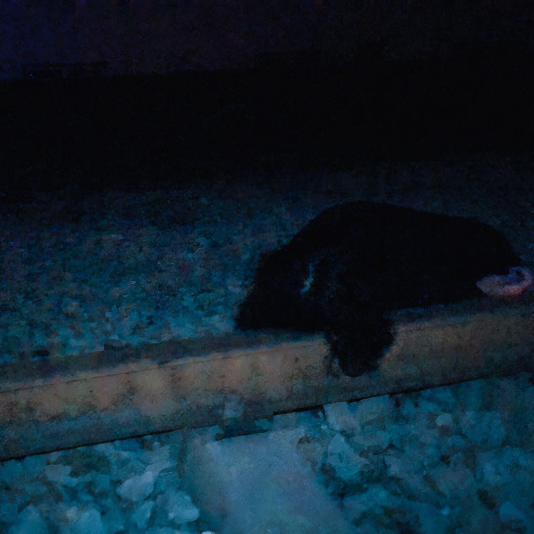 我不知道我在哪里(prod.sinol)