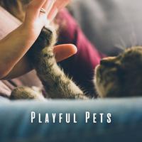 Playful Pets: Chill Music for Active Minds