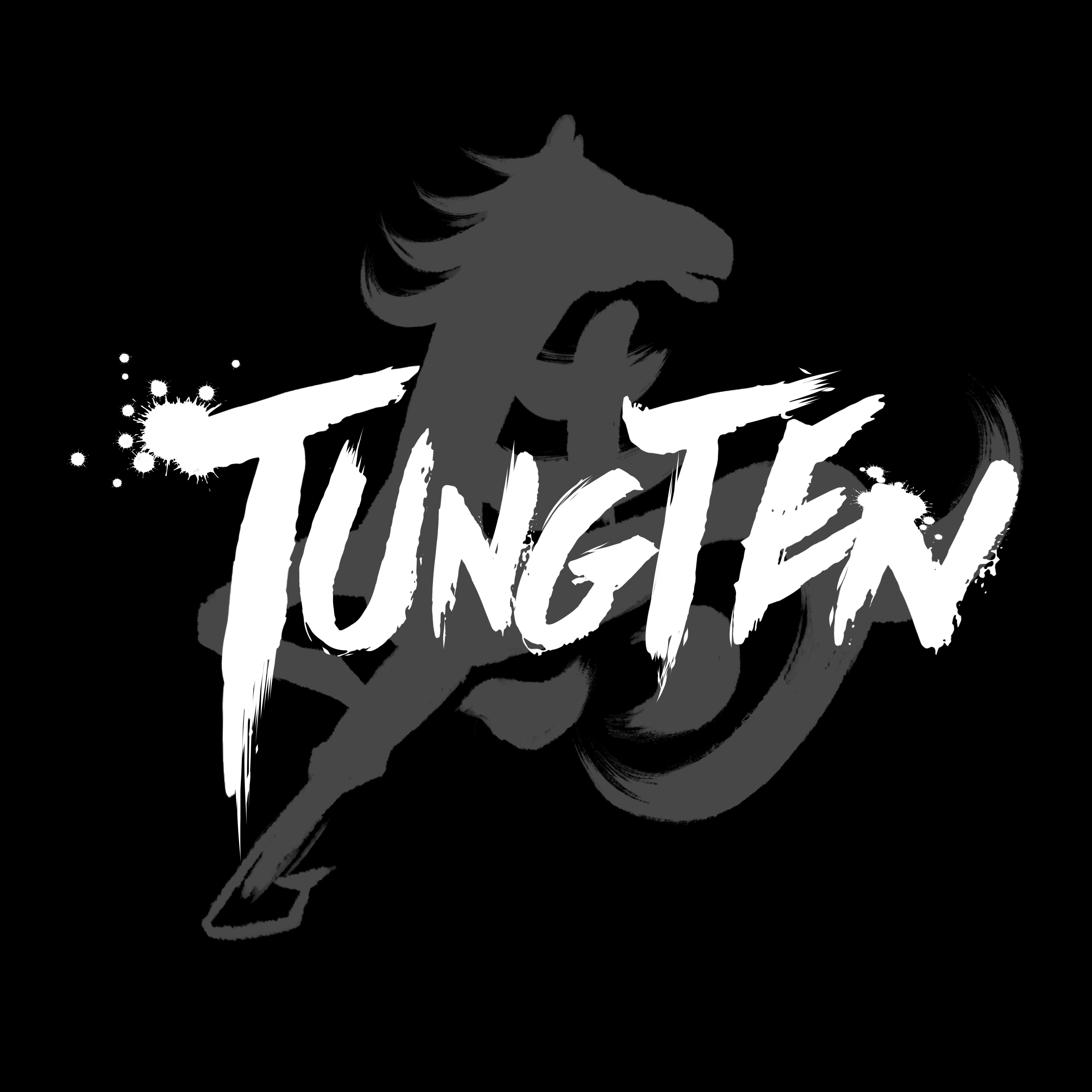 张蔷-我希望在你的爱情里（TungTen 0754 Remix）封面