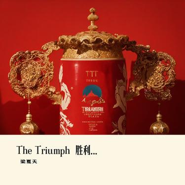 The Triumph  胜利   (喜庆氛围)封面