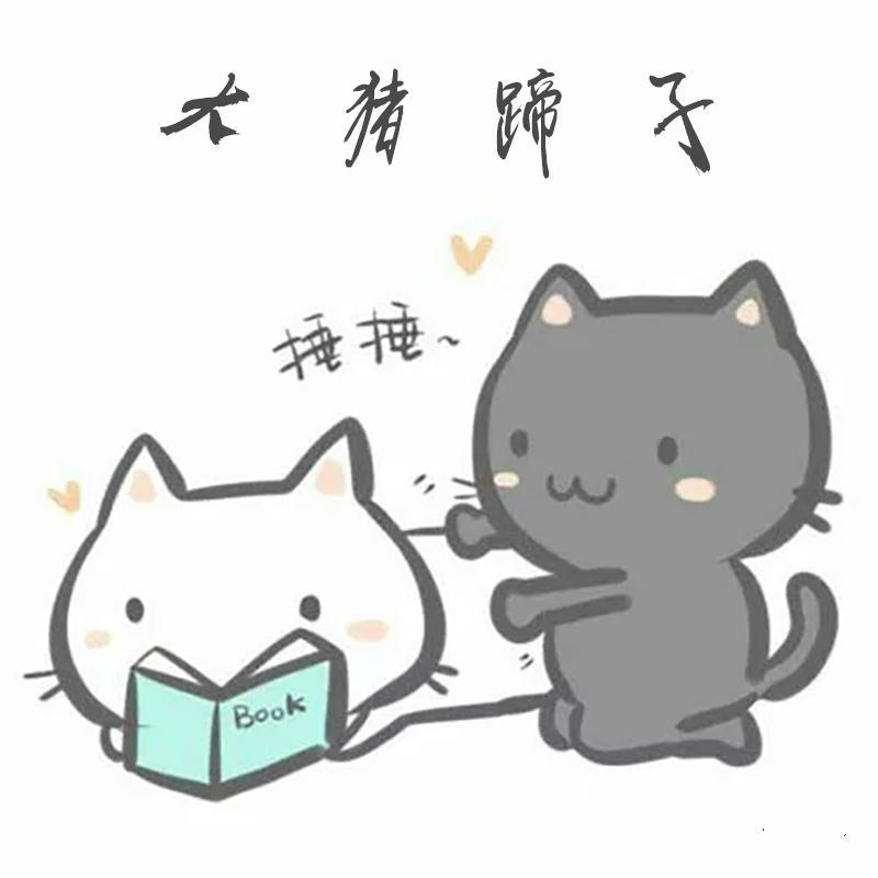 大猪蹄子 - 天音纪、特特Scott、高三三封面