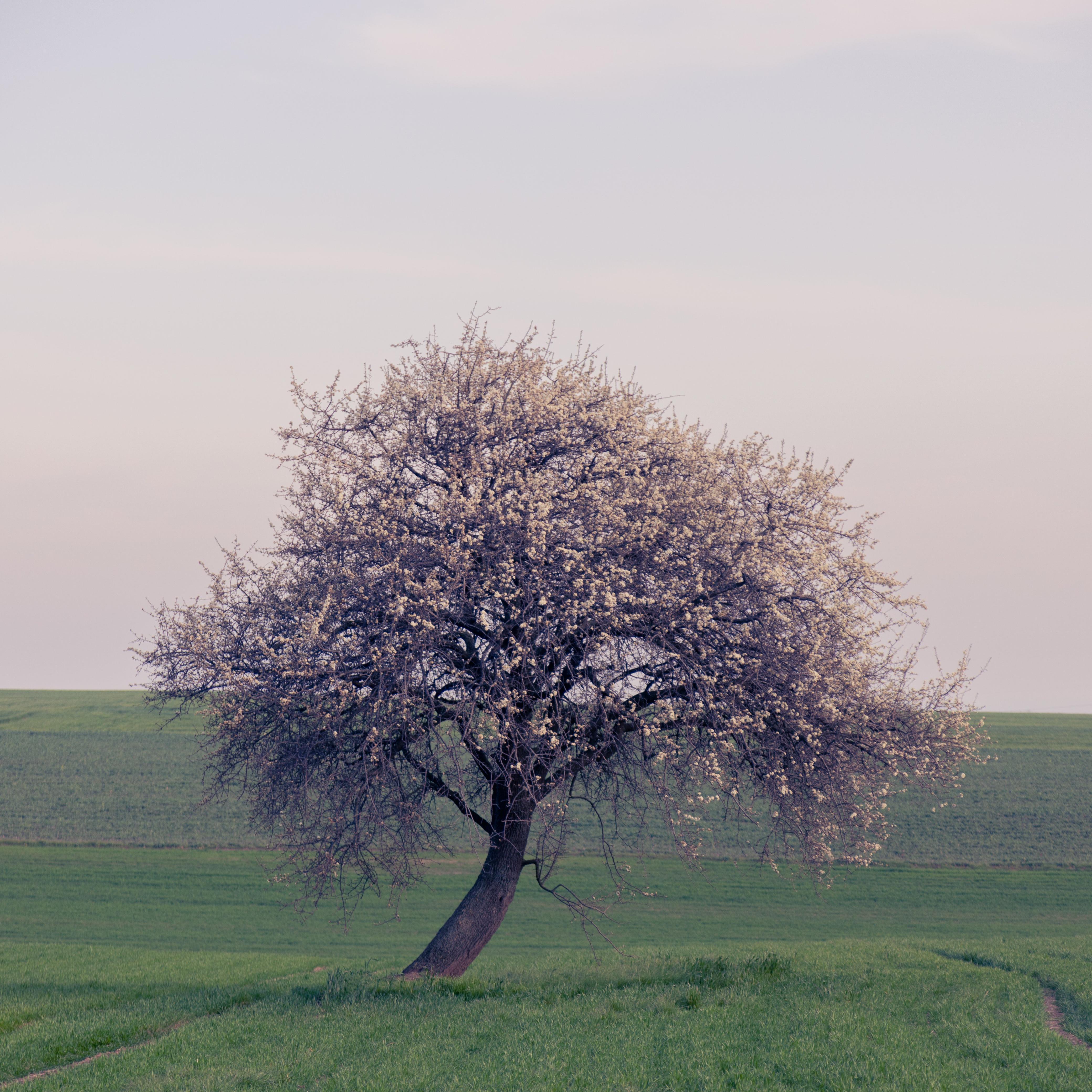 Excision / Jauz-Erase U & Oceans & Galaxies (Mashup)（AshLynx remix）