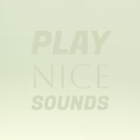 Play Nice Sounds