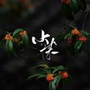 Hazzel烤梨染