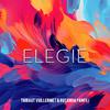 Thibaut Vuillermet - ELEGIE