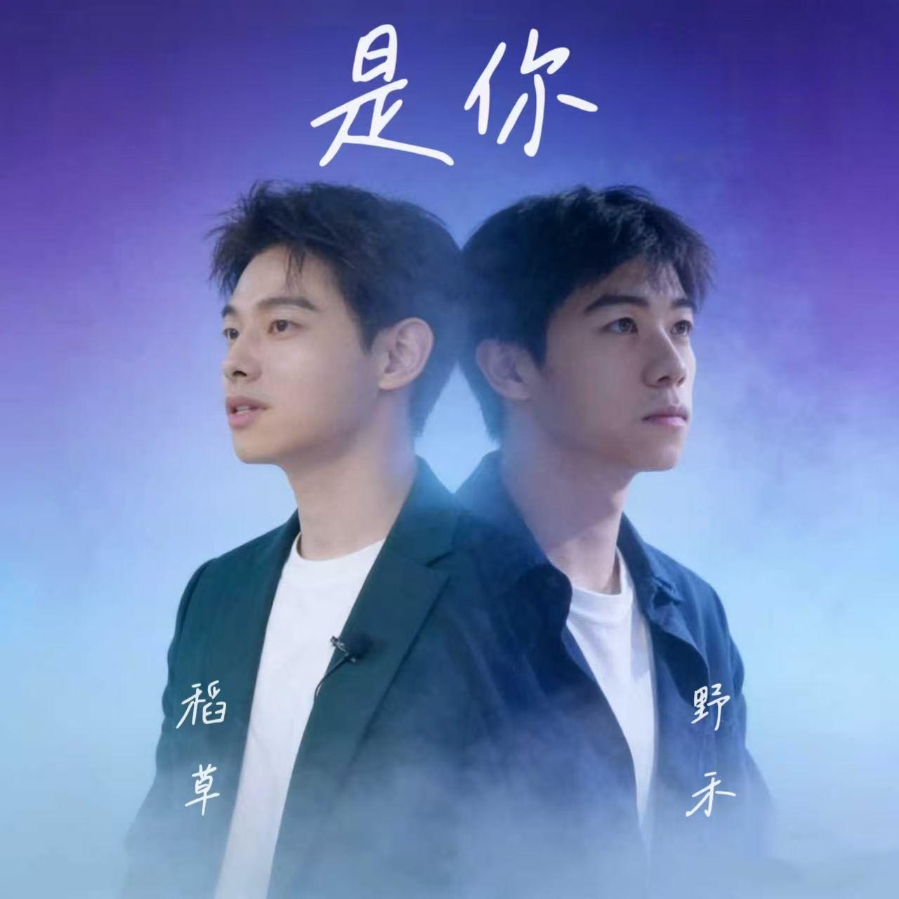 是你（Live版） - 稻草、野禾封面