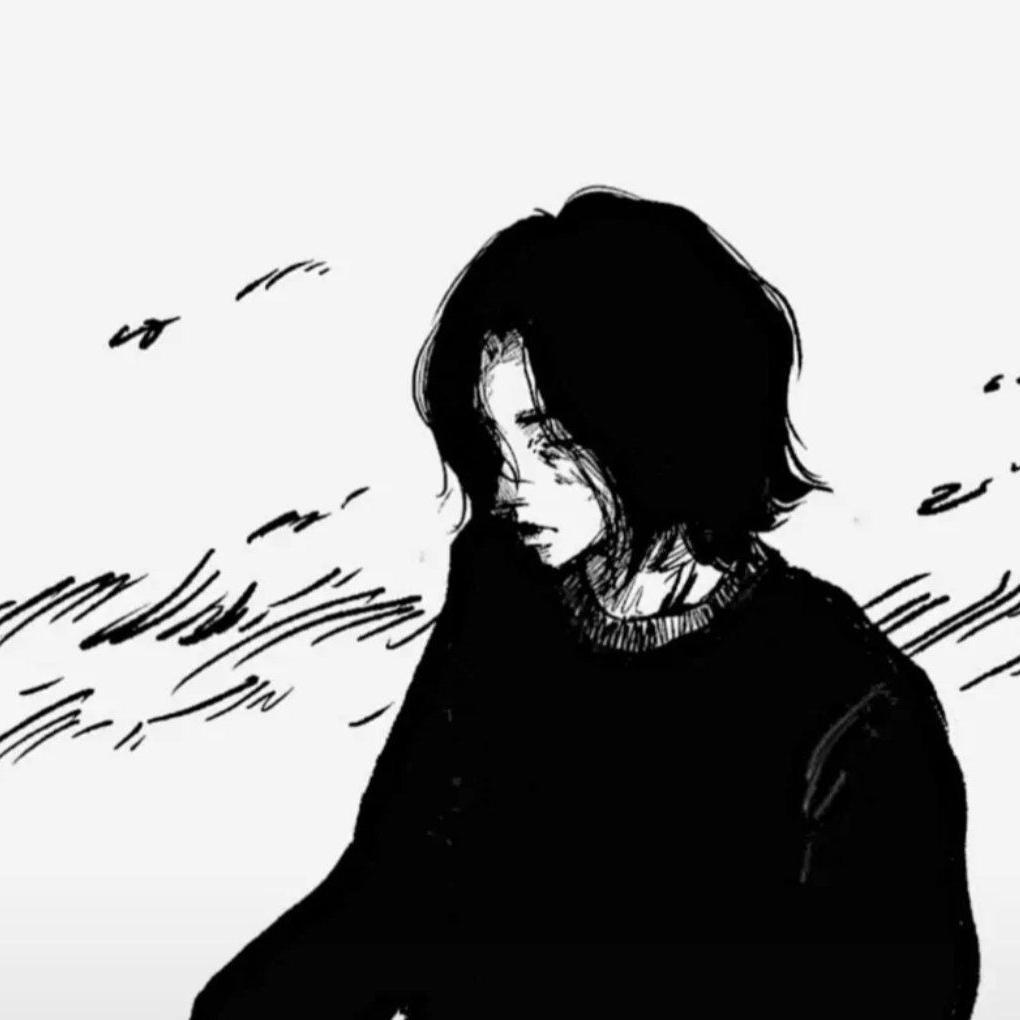 流星 - 阴谋论封面