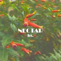 Nectar In.