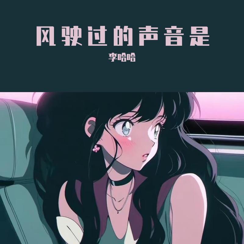 风驶过的声音是 - 李哈哈封面