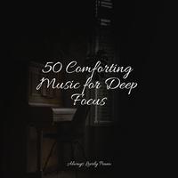 50 Calming Ambient Collection