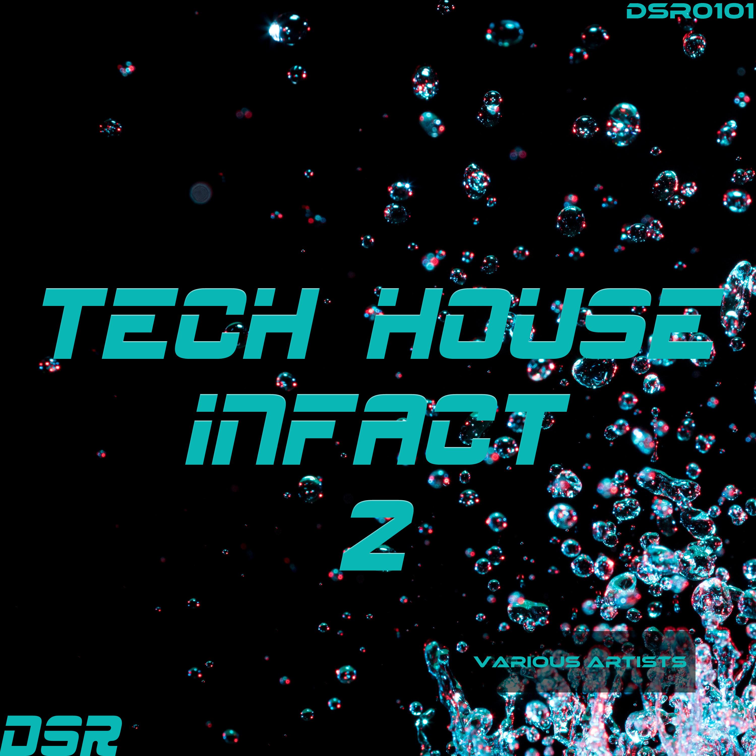 techhouseinfactvol2