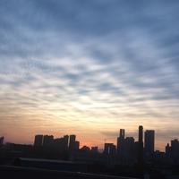 独厌