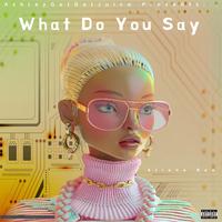 What Do You Say (feat. Ariana Rae & Rome Streetz)