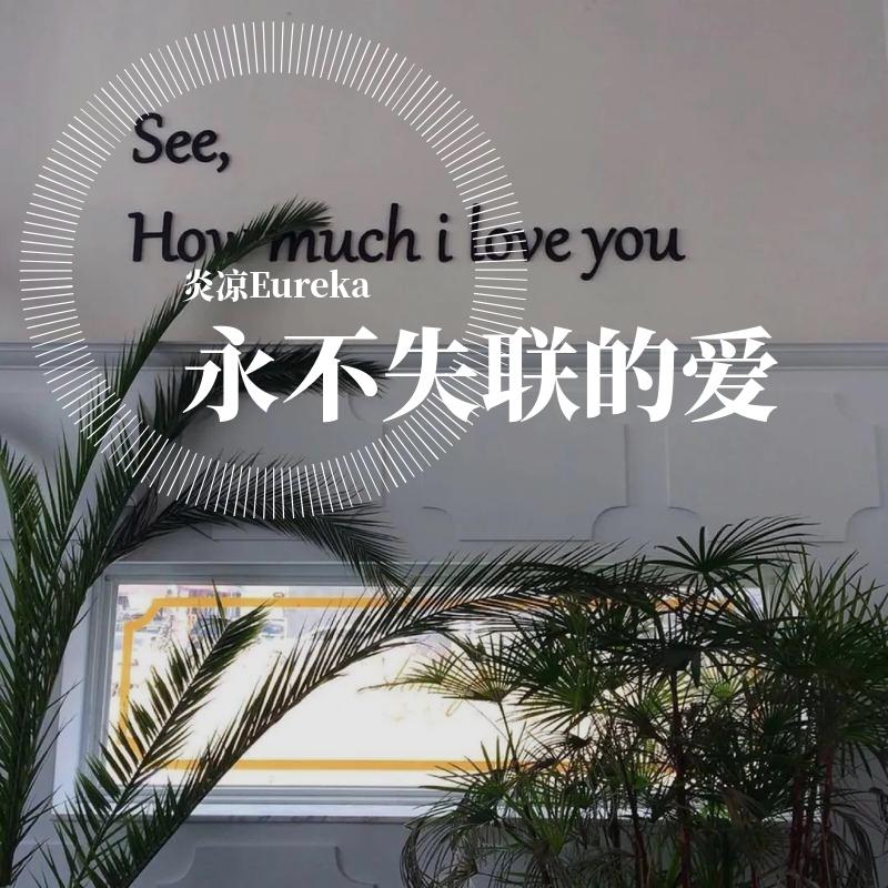 永不失联的爱（翻自 单依纯）