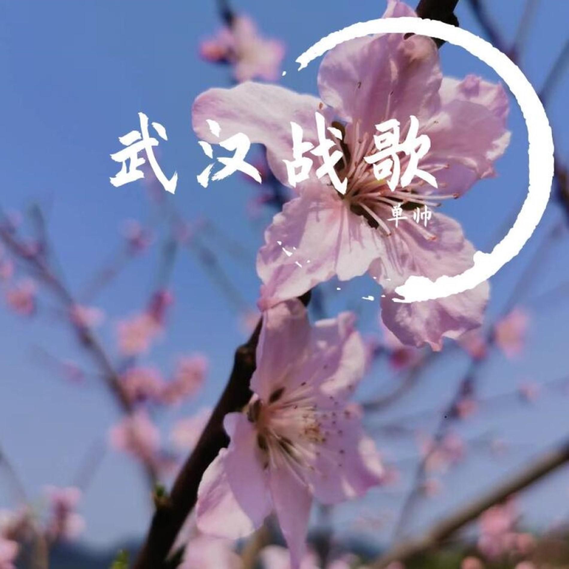 武汉战歌 伴奏封面