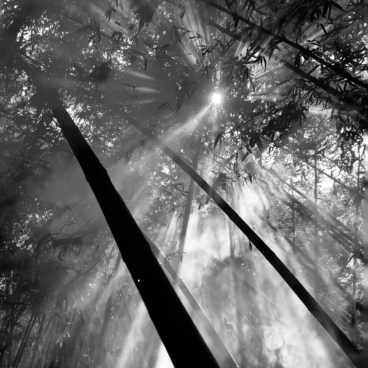 HisTheme （Galabro Remix）